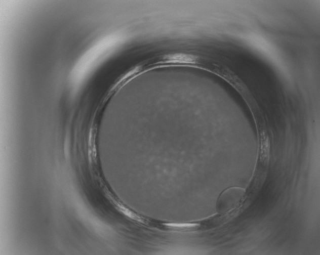 X0000080731487200612221240