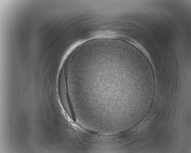 X0000080731488200612221240