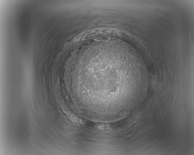 X0000080731489200612221239