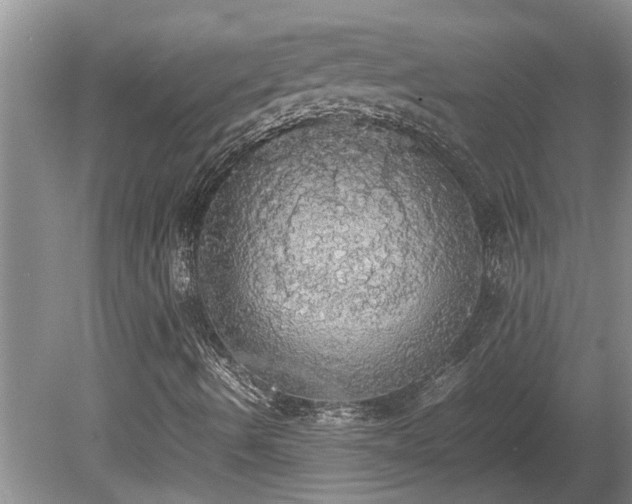 X0000080731490200612221239