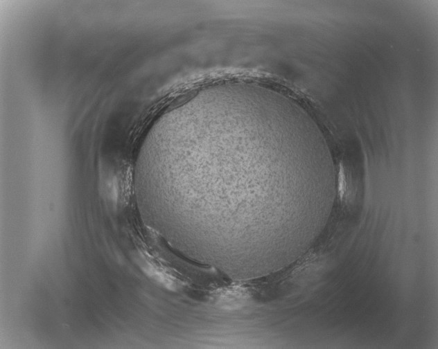 X0000080731492200612221239