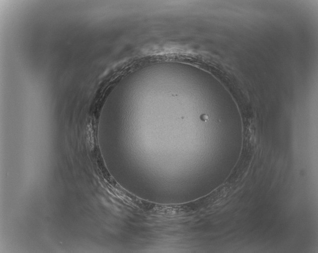 X0000080731493200612221239