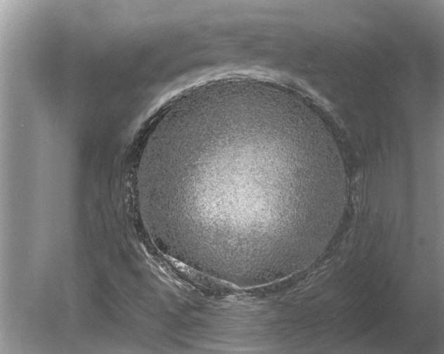 X0000080731496200612221239