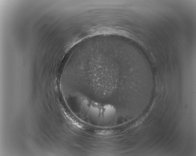 X0000080731497200612221239