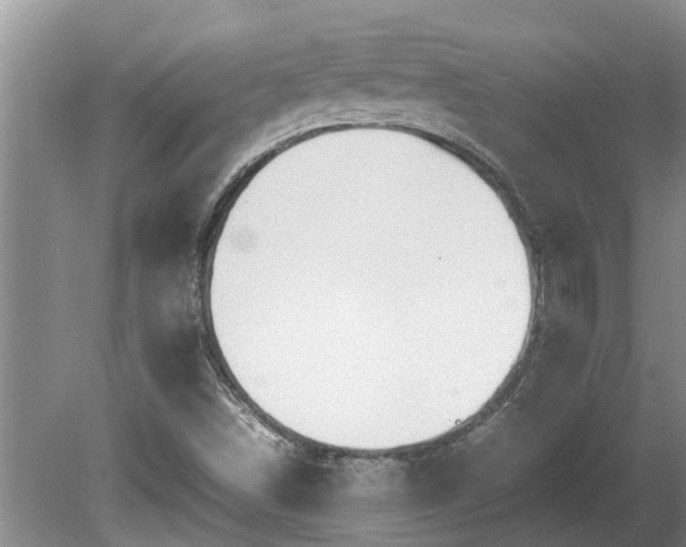 X0000080731498200612221239