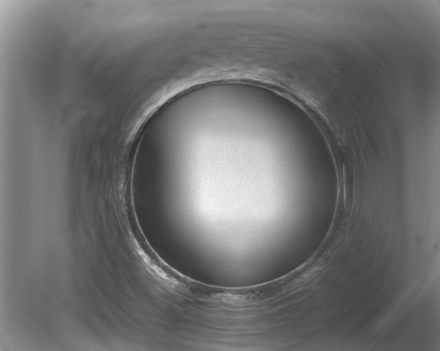 X0000080731500200612221239