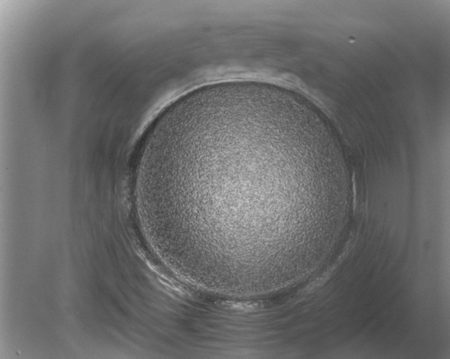 X0000080731501200612221239