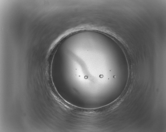 X0000080731502200612221239