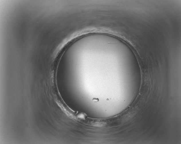 X0000080731503200612221239