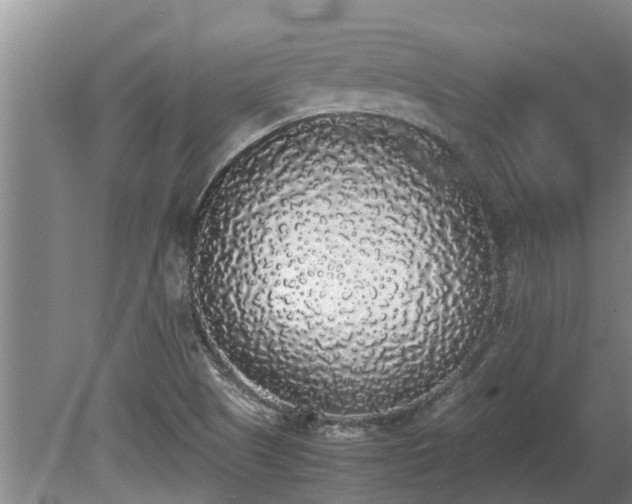 X0000080731505200612221239