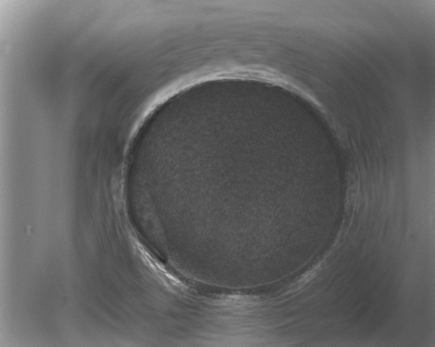 X0000080731506200612221239