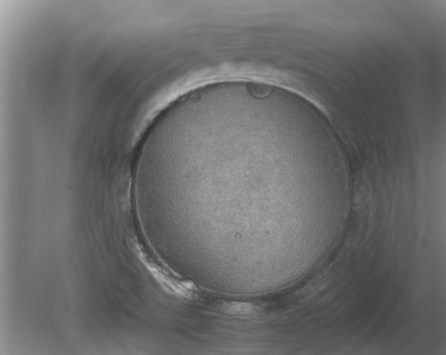 X0000080731507200612221239