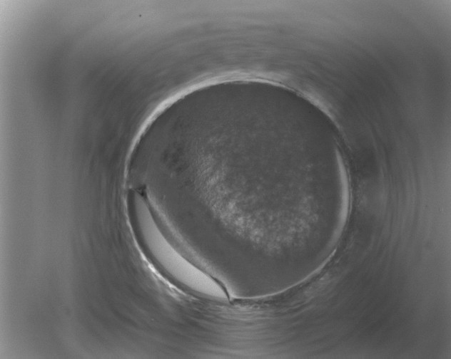 X0000080731508200612221239