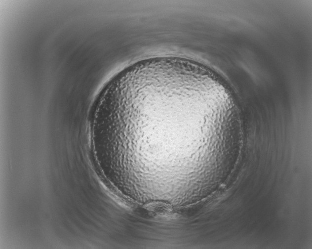 X0000080731509200612221239