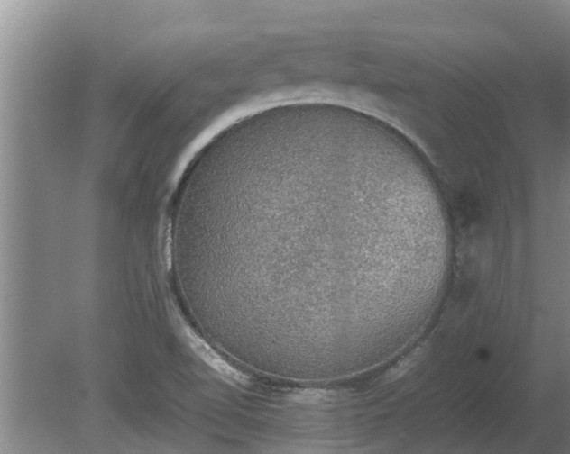 X0000080731510200612221239