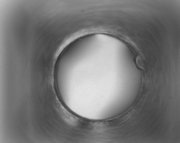 X0000080731512200612221239