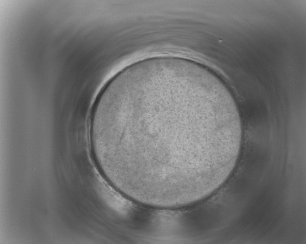 X0000080731514200612221239