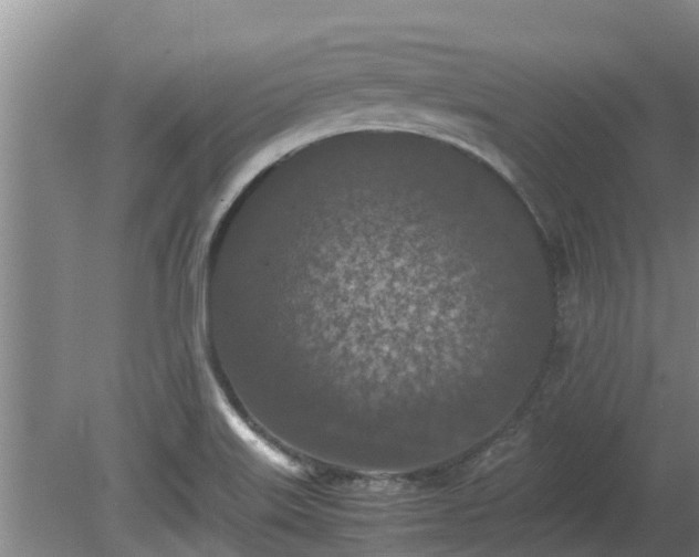 X0000080731515200612221239