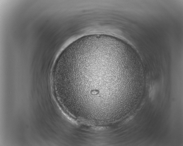 X0000080731517200612221239