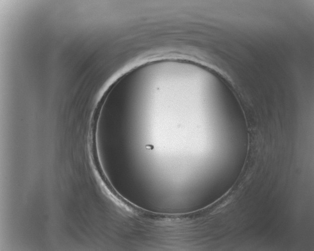 X0000080731518200612221239