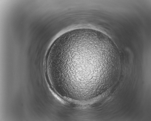 X0000080731519200612221239