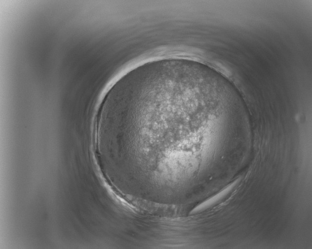 X0000080731520200612221240