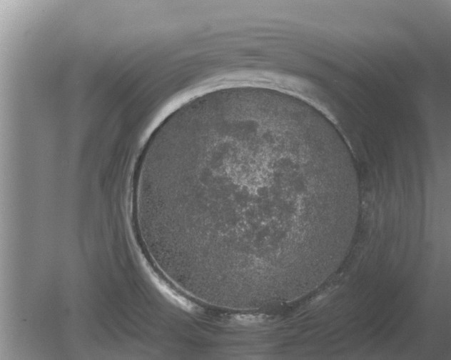 X0000080731523200612221240