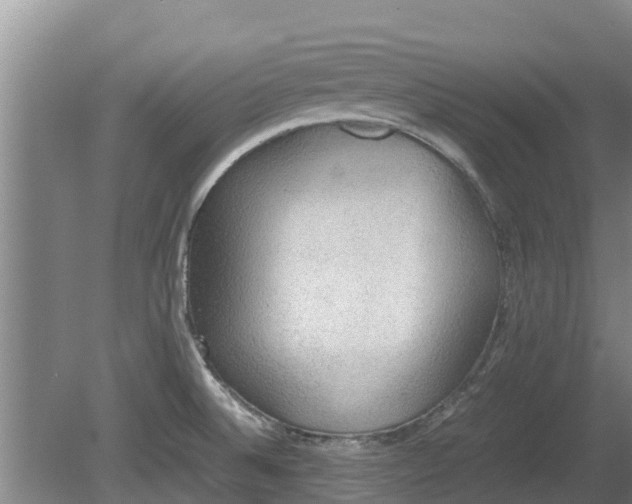 X0000080731524200612221240