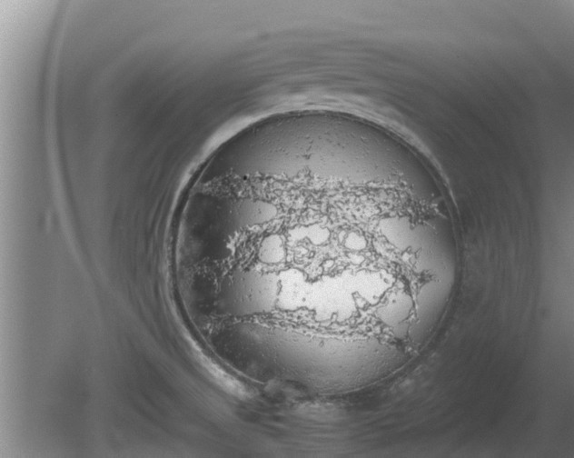 X0000080731525200612221240