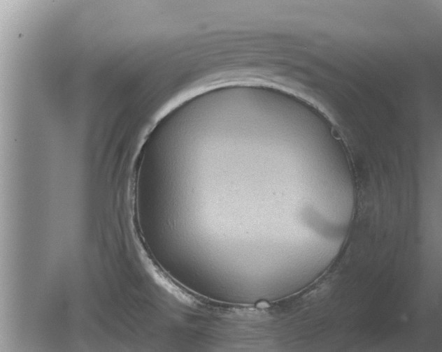 X0000080731526200612221240