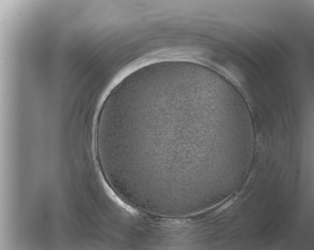 X0000080731528200612221240