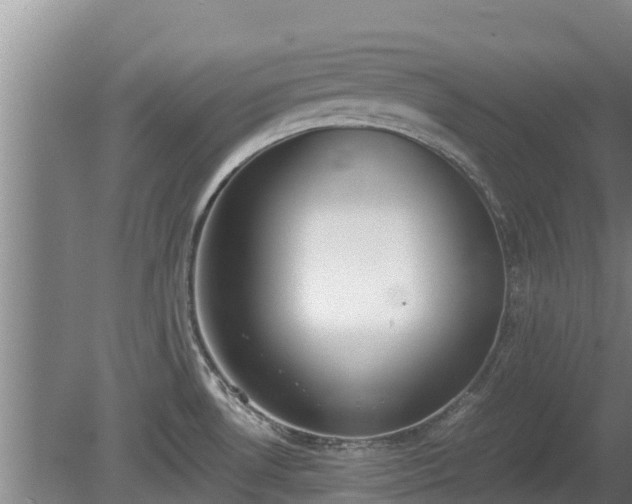 X0000080731530200612221240