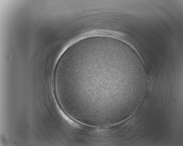 X0000080731531200612221240