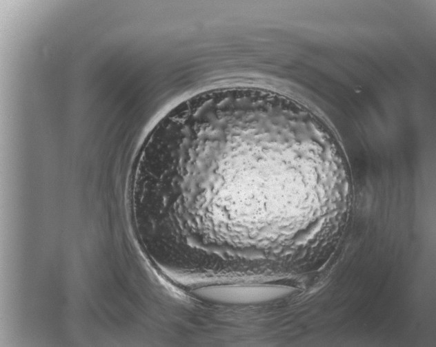 X0000080731533200612221240