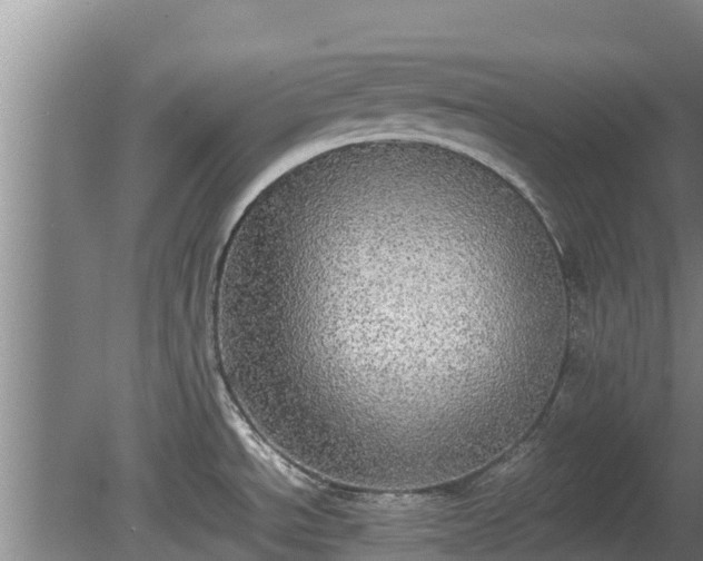 X0000080731534200612221240