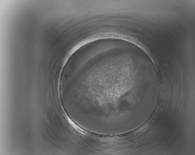 X0000080731535200612221240