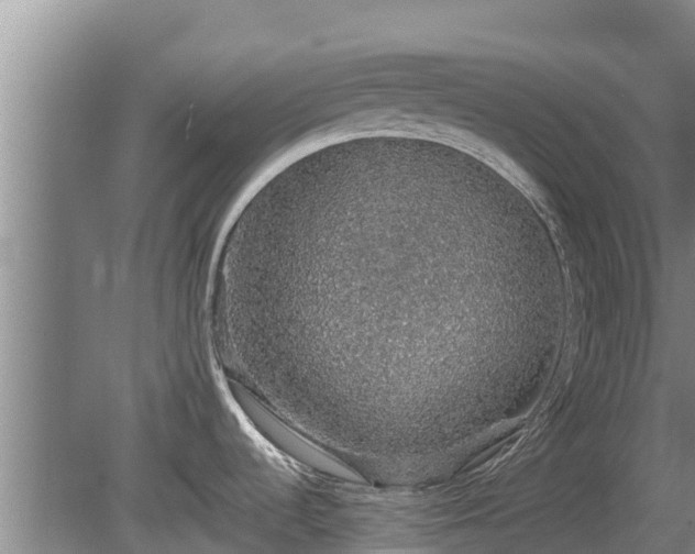 X0000080731536200612221240