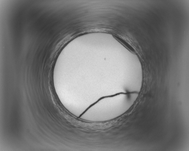 X0000080730001200701021133