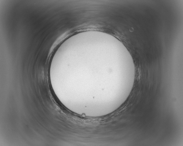 X0000080730004200701021133