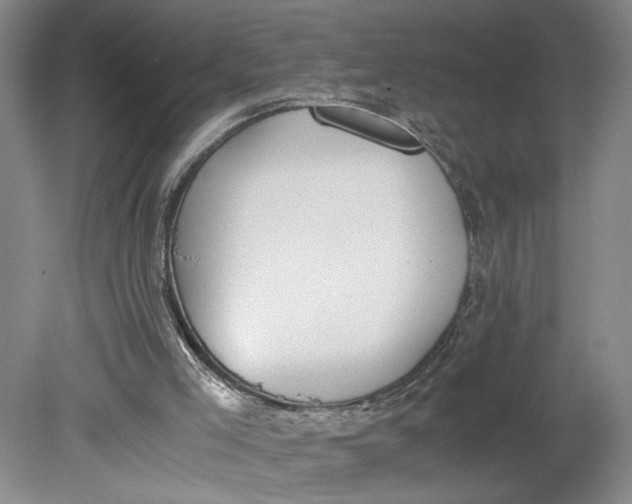 X0000080730005200701021133