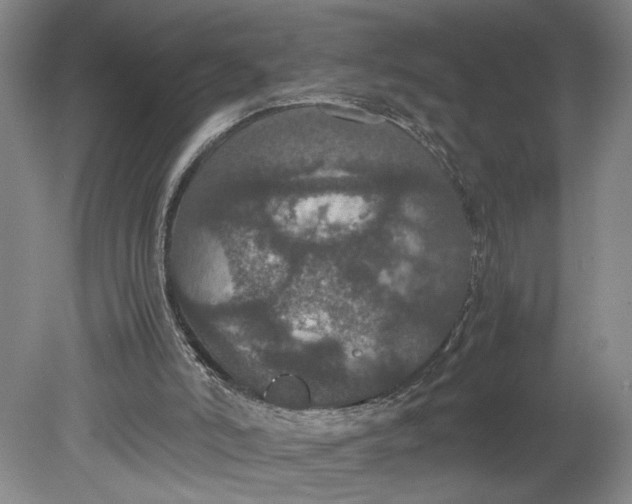 X0000080730006200701021133