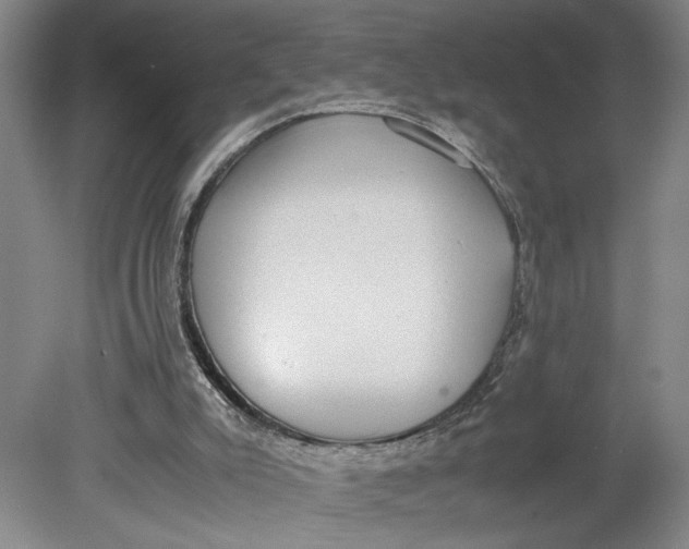 X0000080730007200701021133