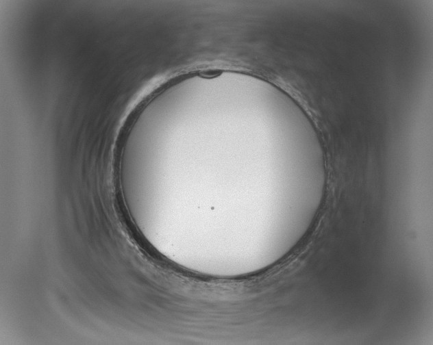 X0000080730008200701021133