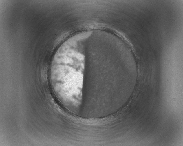 X0000080730010200701021133