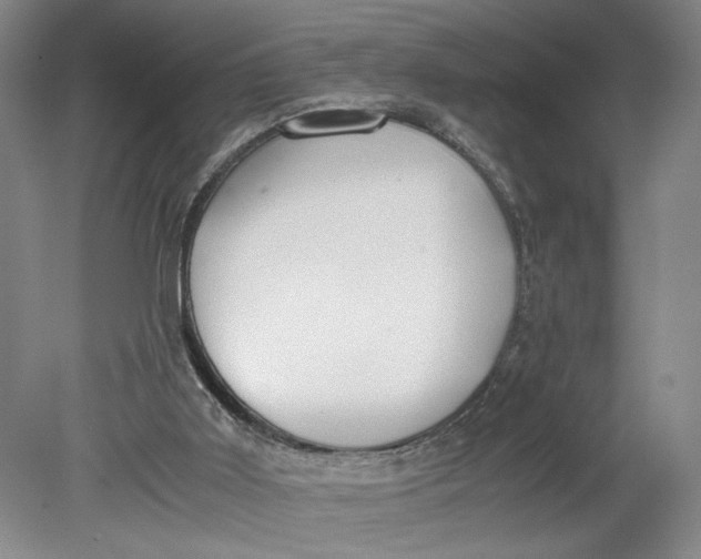 X0000080730011200701021133