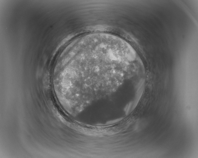 X0000080730012200701021133