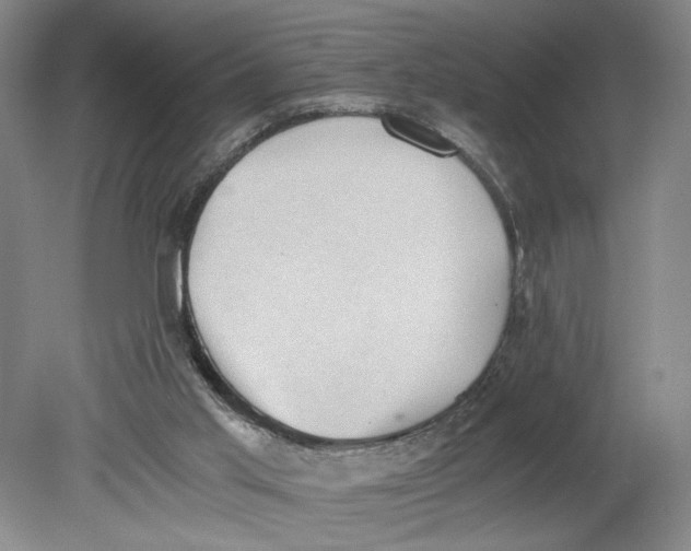 X0000080730013200701021133