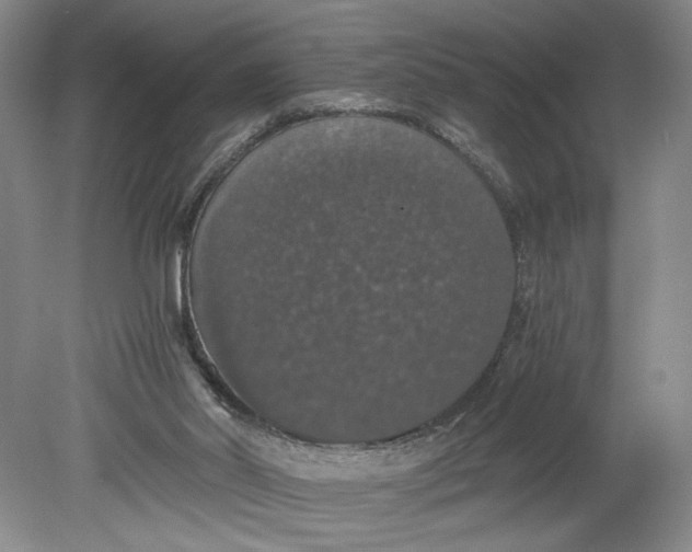 X0000080730014200701021133