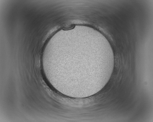 X0000080730015200701021133