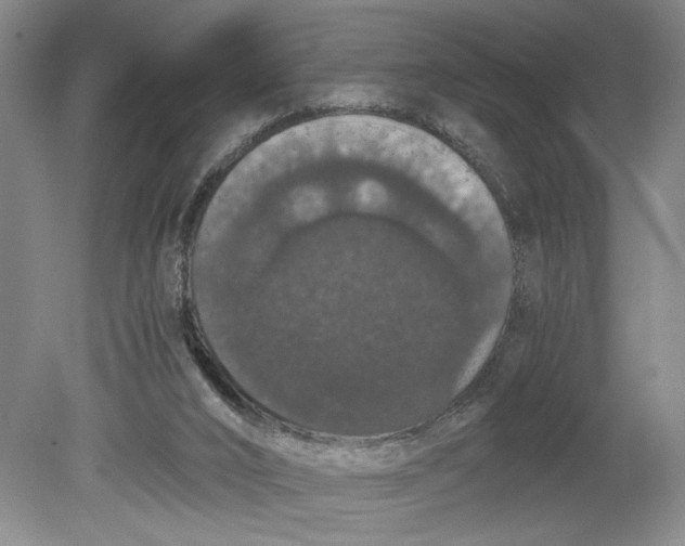 X0000080730016200701021132